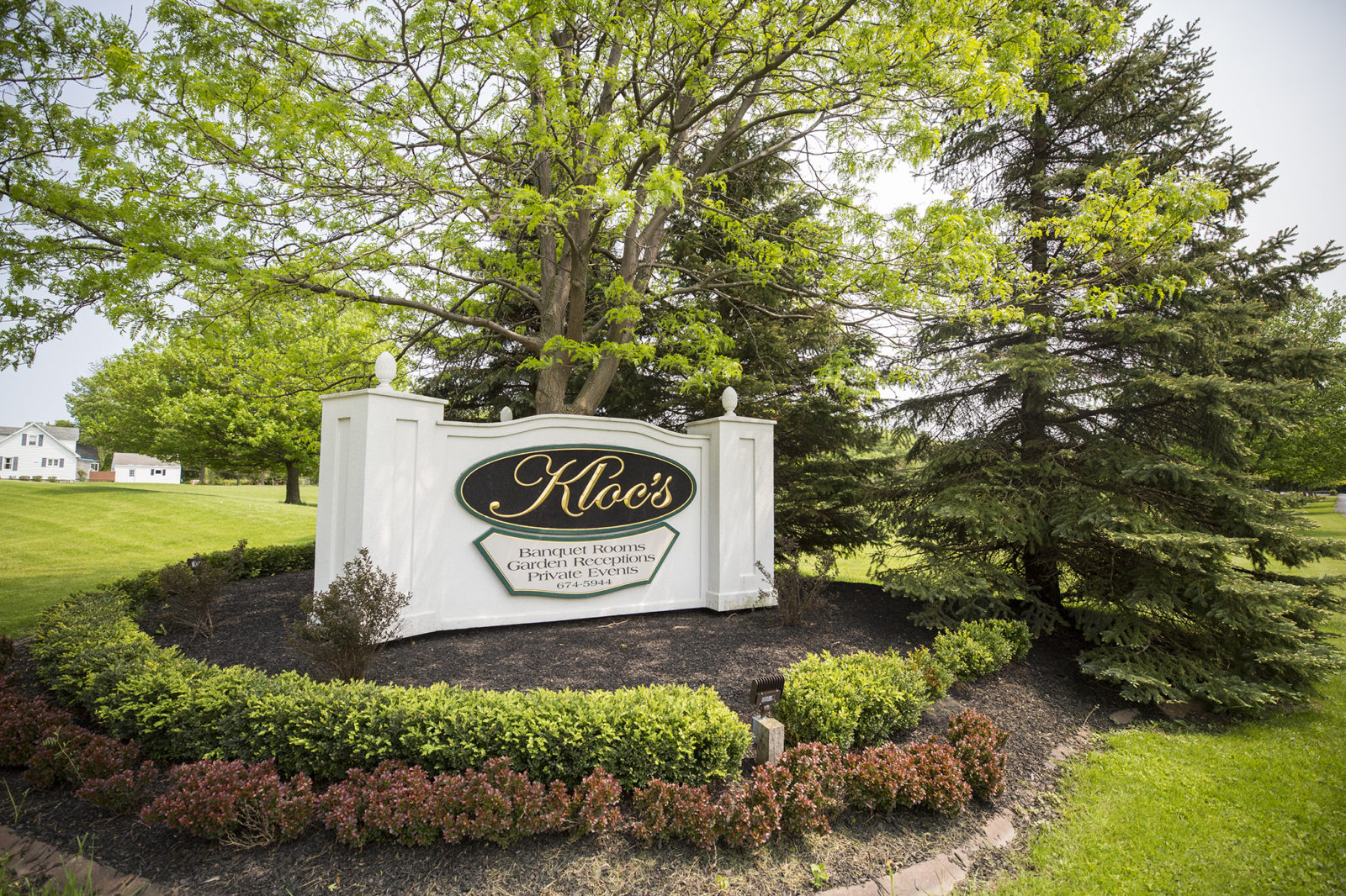 Colorado Springs CO Wedding Photographers Em + Jon Married! Kloc's Grove Buffalo NY