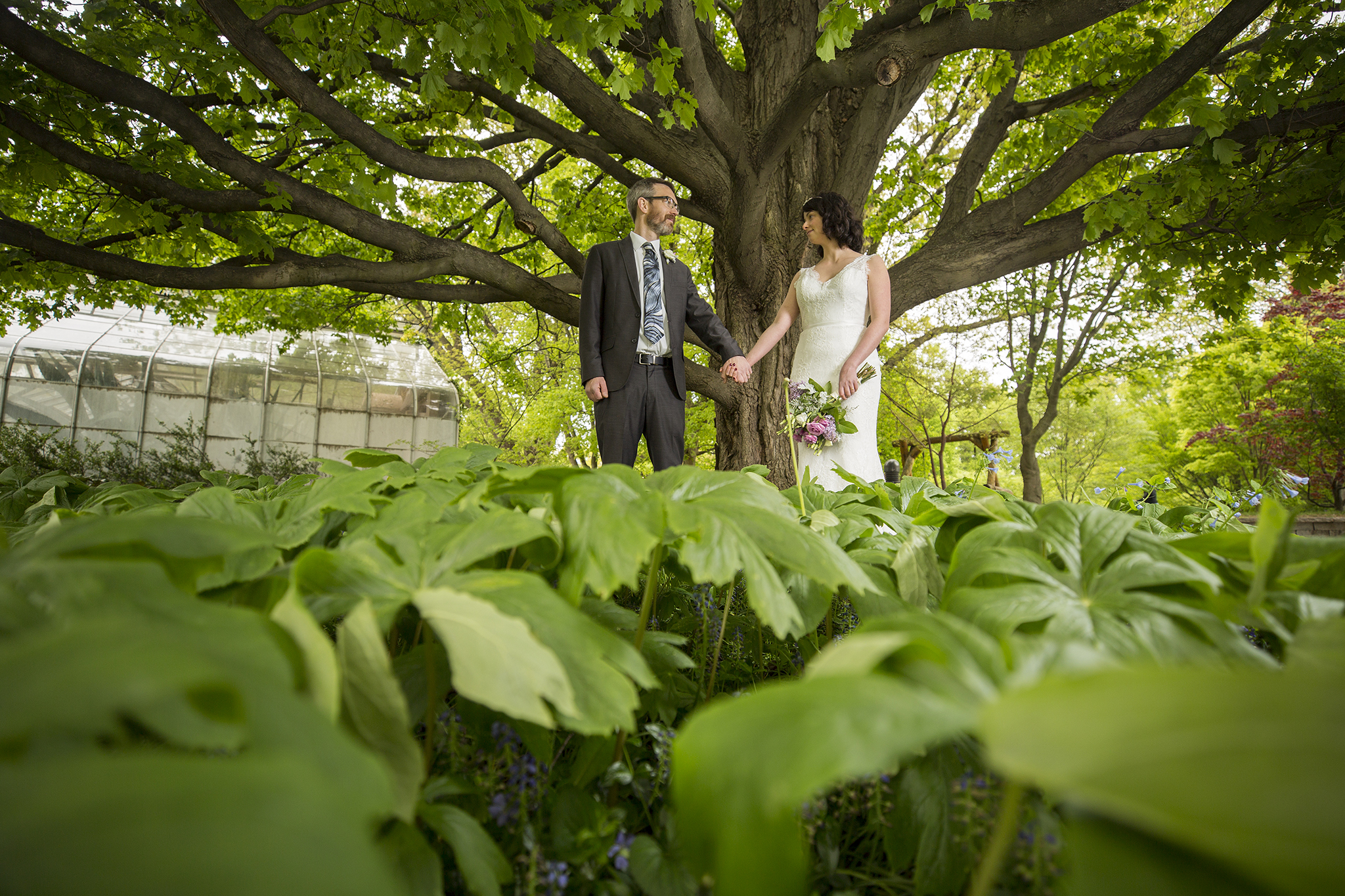 Bride and Groom in highland park Rochester NY on their wedding day.